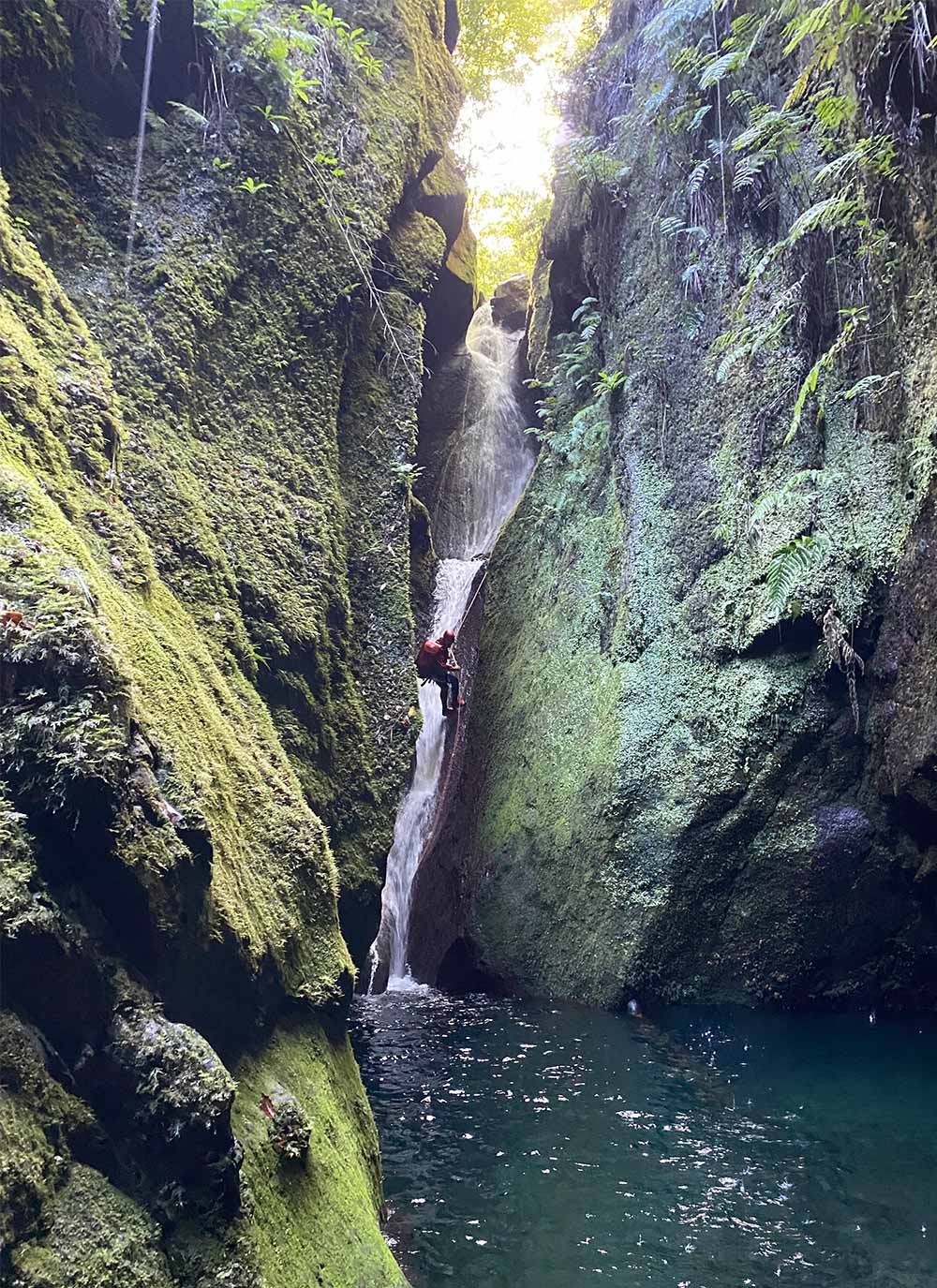 Madeira Schlucht mit Wasserfall und üppigem Grün